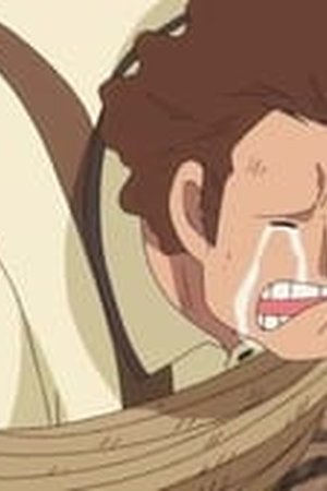 One Piece Season 16 Episode 690 - Poster