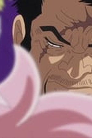 One Piece Season 17 Episode 731 - Poster