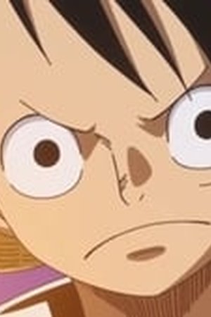 One Piece Season 18 Episode 790 - Poster