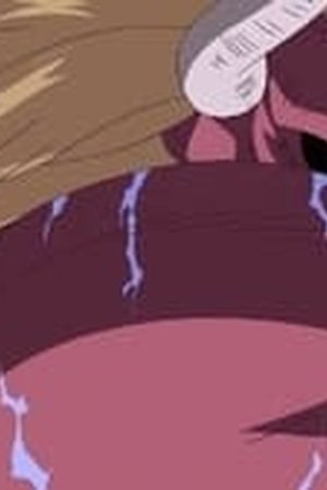 One Piece Season 10 Episode 358 - Poster