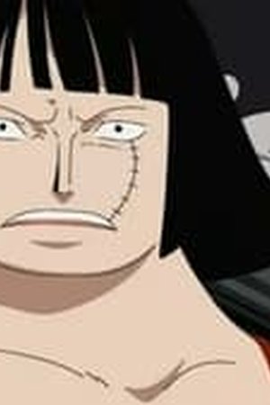One Piece Season 11 Episode 403 - Poster