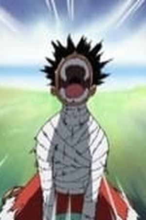 One Piece Season 13 Episode 491 - Poster