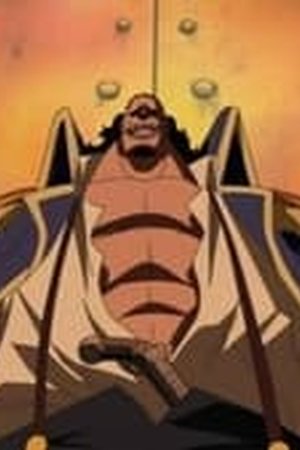 One Piece Season 13 Episode 501 - Poster