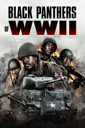Black Panthers of WWII (2025) - Poster