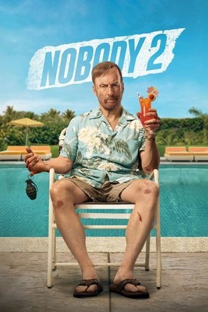 Nobody 2 ( 2025 ) - Poster