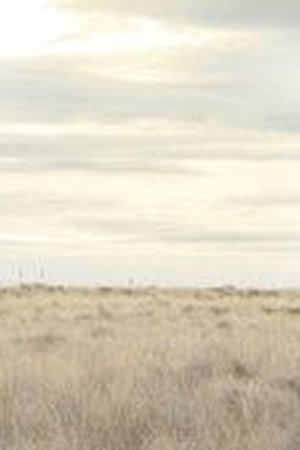 Breaking Bad Season 3 Episode 13 - Poster
