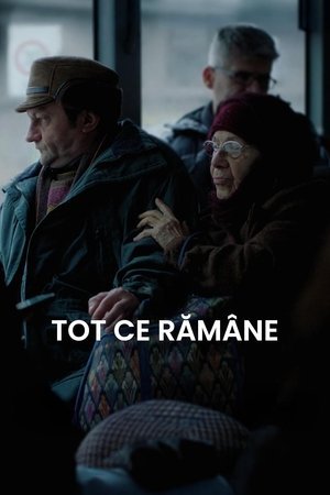 All Thats Remain - Tot ce ramane (2024) - Poster