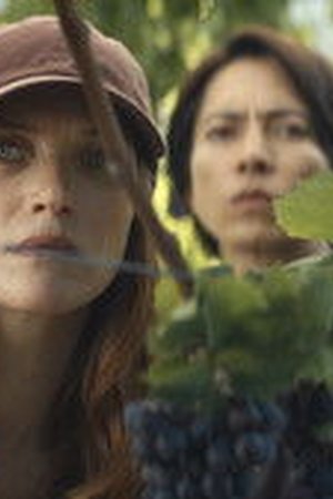 Drops of God Season 2 Episode 3 - Poster