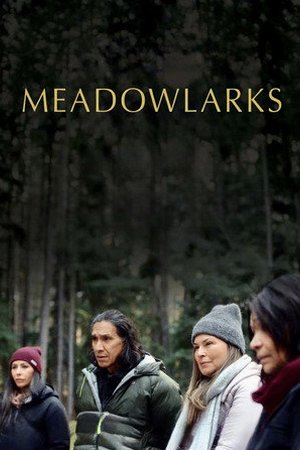 Meadowlarks (2025) - Poster
